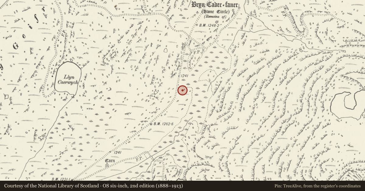 Ordnance Survey six-inch map, 2nd edition (1888–1913) covering the location of Llyn Eiddew Bach Ring Cairn I, Talsarnau, Gwynedd, with a pin at the register's coordinates