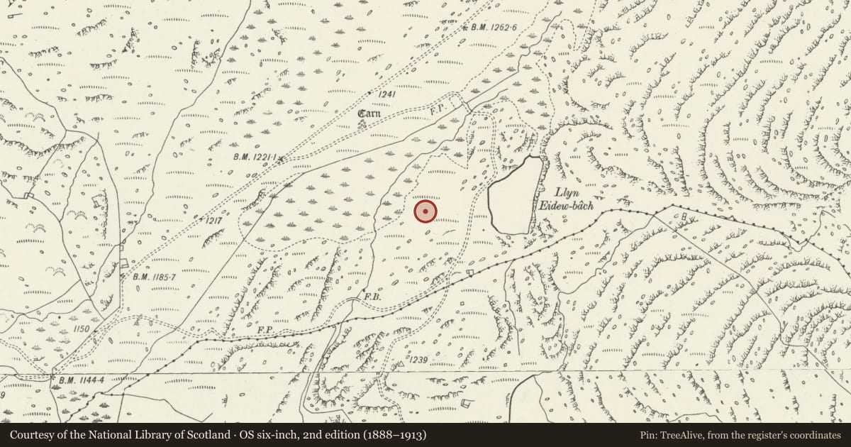 Ordnance Survey six-inch map, 2nd edition (1888–1913) covering the location of Llyn Eiddew Bach Ring Cairn II, Talsarnau, Gwynedd, with a pin at the register's coordinates