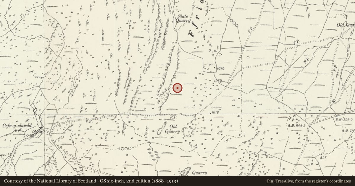 Ordnance Survey six-inch map, 2nd edition (1888–1913) covering the location of Cefn Clawdd Ring Cairn, Trawsfynydd, Gwynedd, with a pin at the register's coordinates
