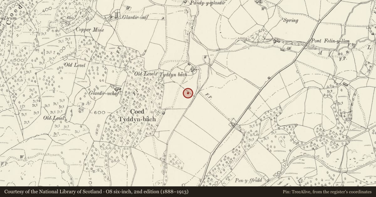Ordnance Survey six-inch map, 2nd edition (1888–1913) covering the location of Tyddyn Bach Round Barrow, Brithdir and Llanfachreth, Gwynedd, with a pin at the register's coordinates