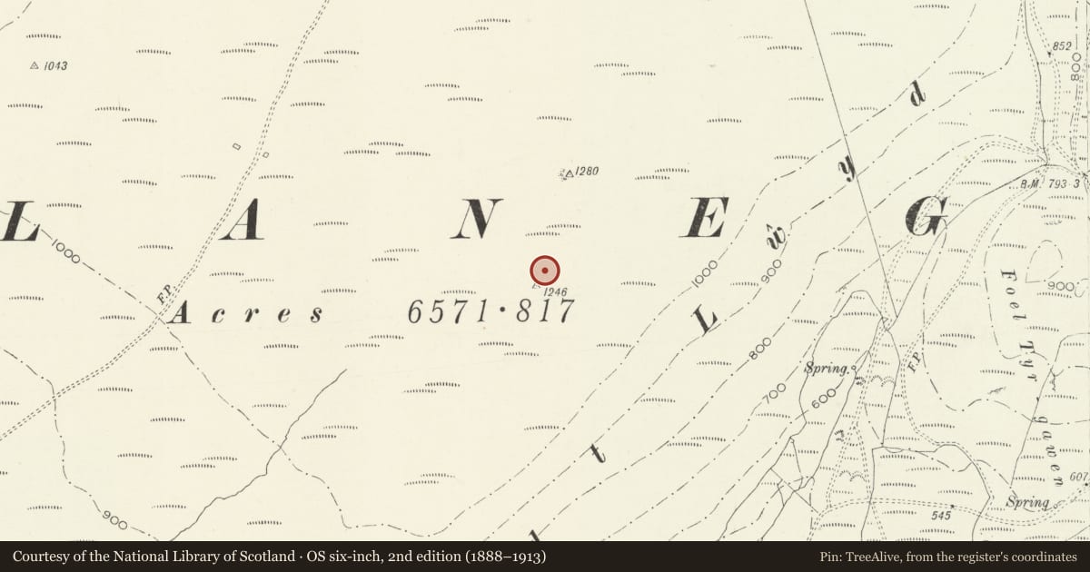 Ordnance Survey six-inch map, 2nd edition (1888–1913) covering the location of Allt Lwyd Bronze Age Ritual Complex, Llanegryn, Gwynedd, with a pin at the register's coordinates