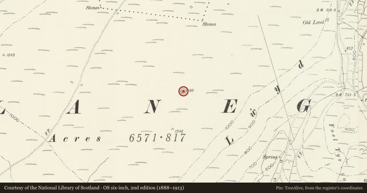 Ordnance Survey six-inch map, 2nd edition (1888–1913) covering the location of Allt Lwyd Cairn I, Llanegryn, Gwynedd, with a pin at the register's coordinates