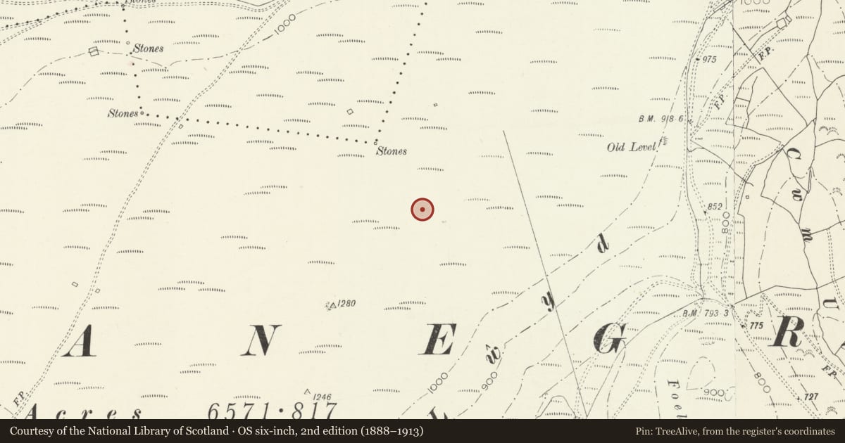 Ordnance Survey six-inch map, 2nd edition (1888–1913) covering the location of Allt Lwyd Cairn II, Llanegryn, Gwynedd, with a pin at the register's coordinates