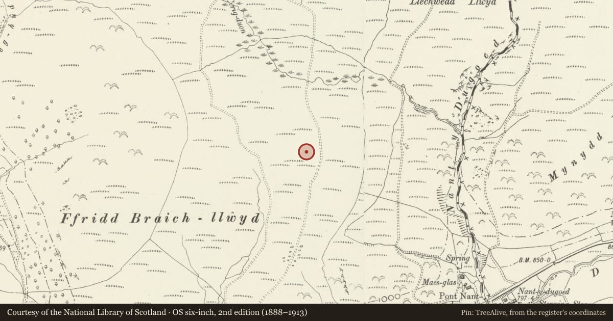 Ordnance Survey six-inch map, 2nd edition (1888–1913) covering the location of Ffridd Braich Llwyd Bronze Age Ritual Complex, Mawddwy, Gwynedd, with a pin at the register's coordinates