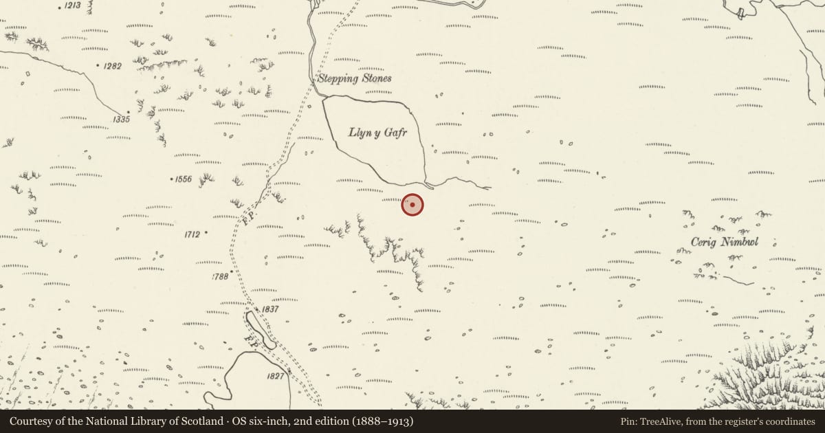 Ordnance Survey six-inch map, 2nd edition (1888–1913) covering the location of Llyn Gafr Hut Circle, Dolgellau, Gwynedd, with a pin at the register's coordinates