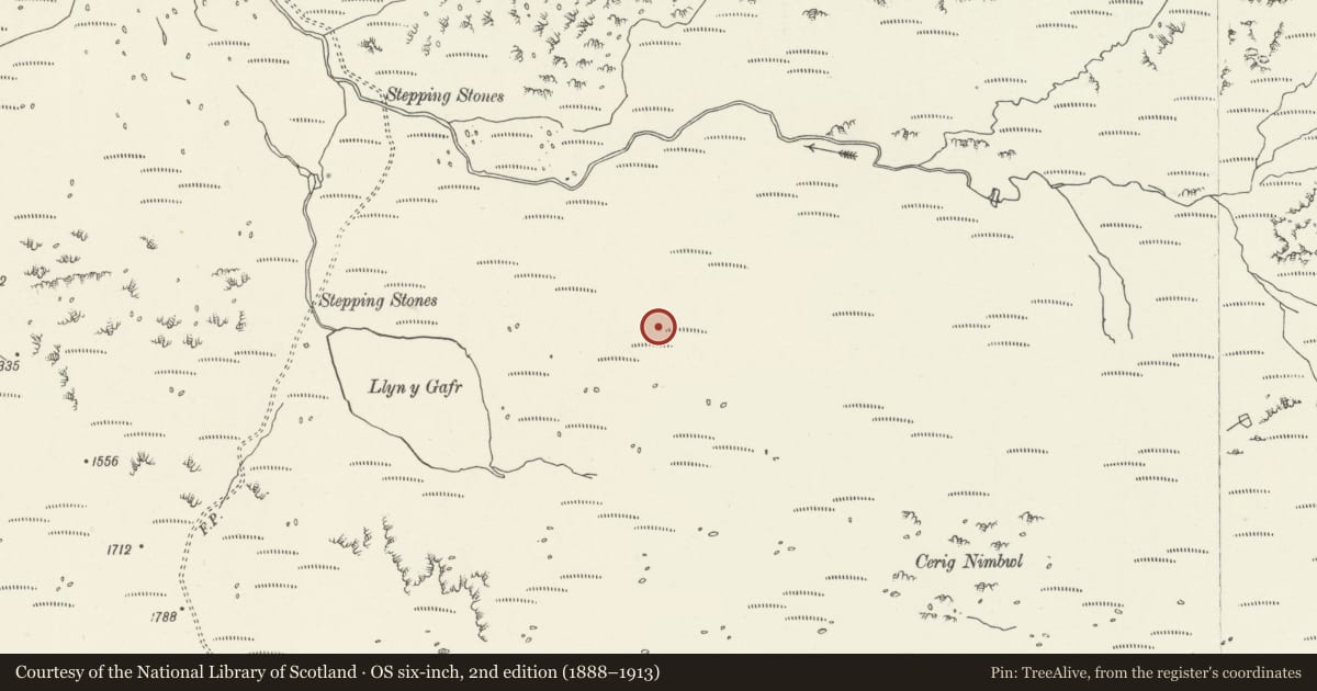 Ordnance Survey six-inch map, 2nd edition (1888–1913) covering the location of Llyn Gafr Standing Stone, Dolgellau, Gwynedd, with a pin at the register's coordinates