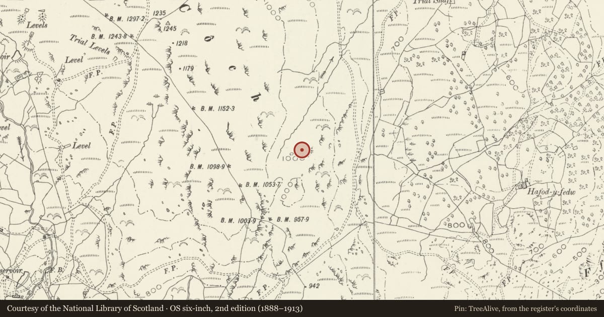 Ordnance Survey six-inch map, 2nd edition (1888–1913) covering the location of Cefn Coch Cairn and Cist, Ganllwyd, Gwynedd, with a pin at the register's coordinates