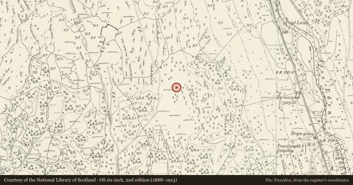 Ordnance Survey six-inch map, 2nd edition (1888–1913) covering the location of Craig y Ganllwyd Cairn and Cist, Gwynedd, with a pin at the register's coordinates