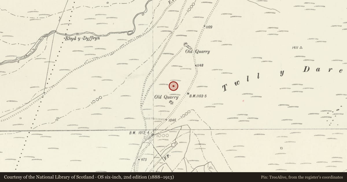 Ordnance Survey six-inch map, 2nd edition (1888–1913) covering the location of Twll y Darren Round Barrow, Llanegryn, Gwynedd, with a pin at the register's coordinates
