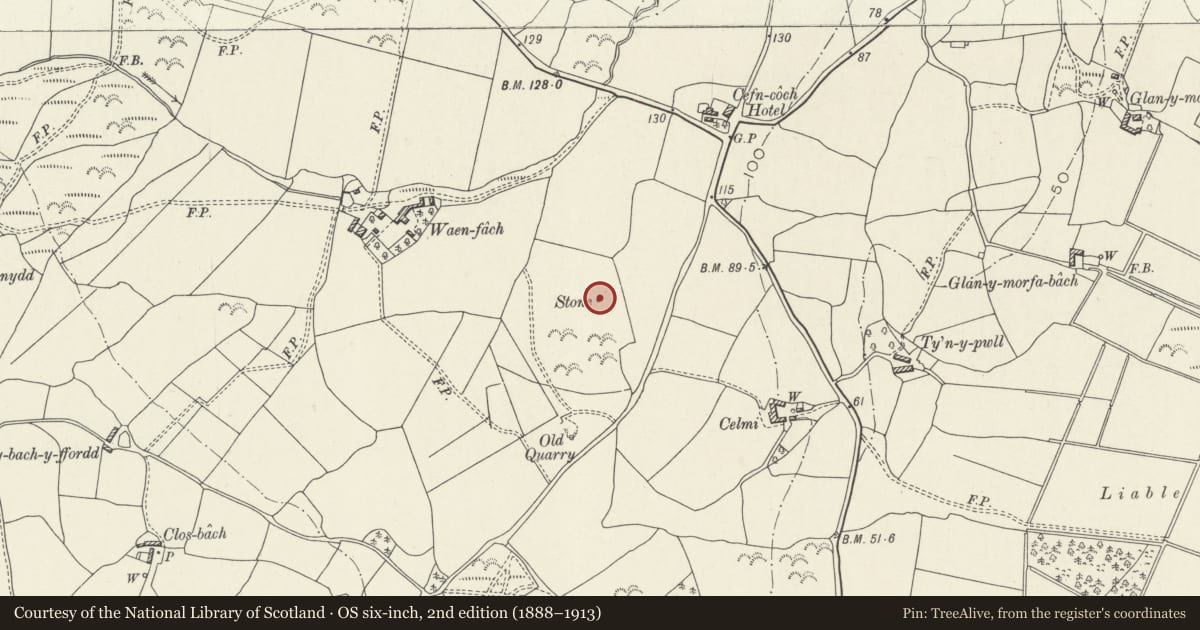 Ordnance Survey six-inch map, 2nd edition (1888–1913) covering the location of Waen Fach Standing Stone, Llanegryn, Gwynedd, with a pin at the register's coordinates