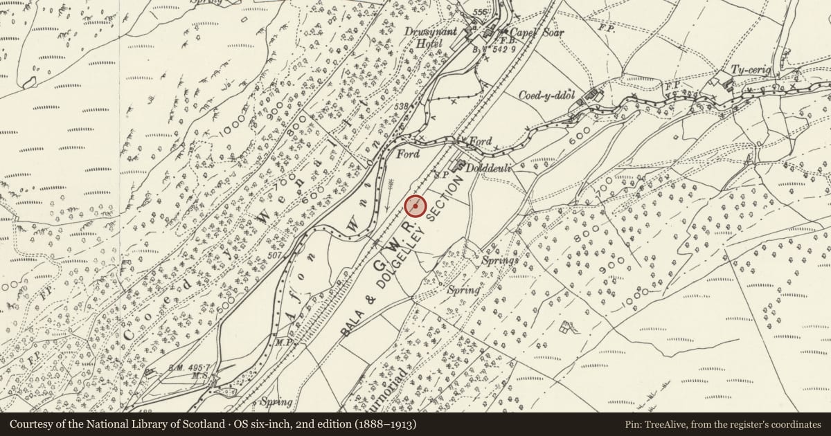 Ordnance Survey six-inch map, 2nd edition (1888–1913) covering the location of Dolddeuli Standing Stone, Brithdir and Llanfachreth, Gwynedd, with a pin at the register's coordinates