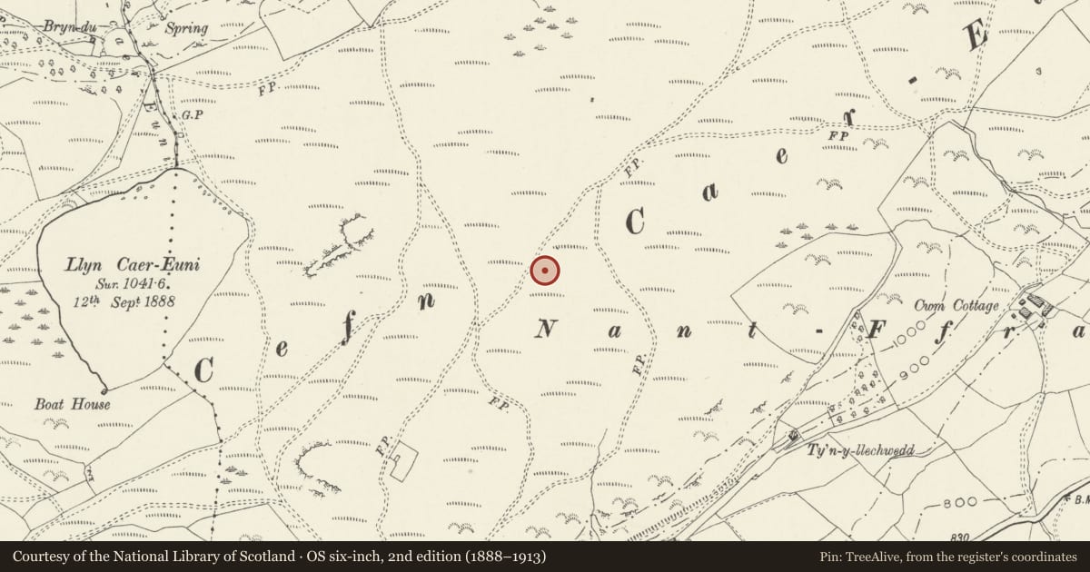 Ordnance Survey six-inch map, 2nd edition (1888–1913) covering the location of Cefn Caer Euni Round Cairn, Llandderfel, Gwynedd, with a pin at the register's coordinates
