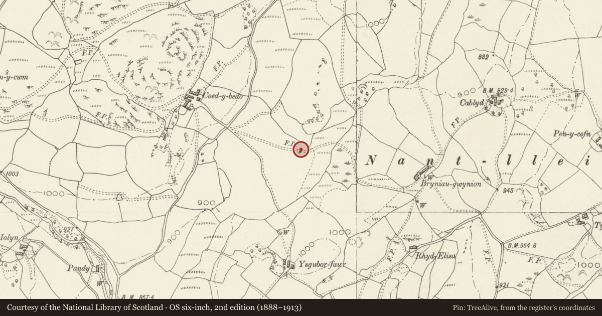 Ordnance Survey six-inch map, 2nd edition (1888–1913) covering the location of Maen y Rhos Standing Stone, Llandderfel, Gwynedd, with a pin at the register's coordinates