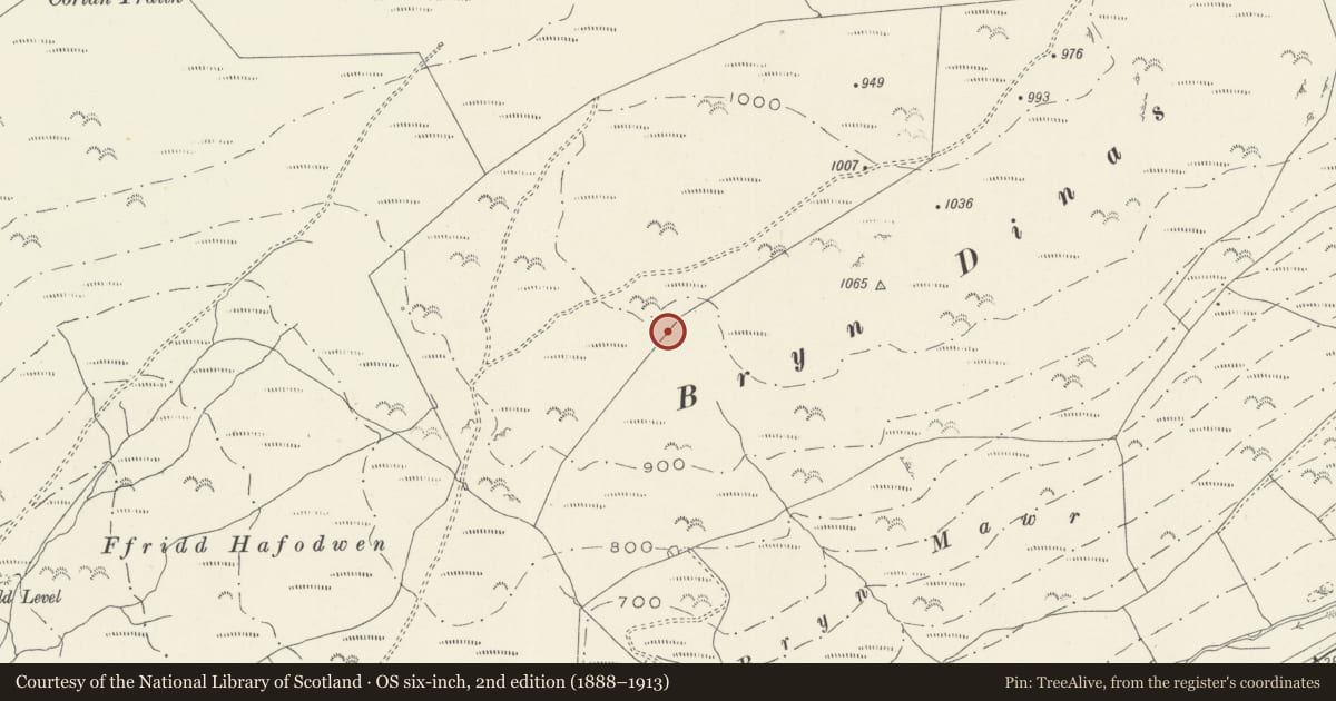 Ordnance Survey six-inch map, 2nd edition (1888–1913) covering the location of Bryn Dinas Cairn, Tywyn, Gwynedd, with a pin at the register's coordinates