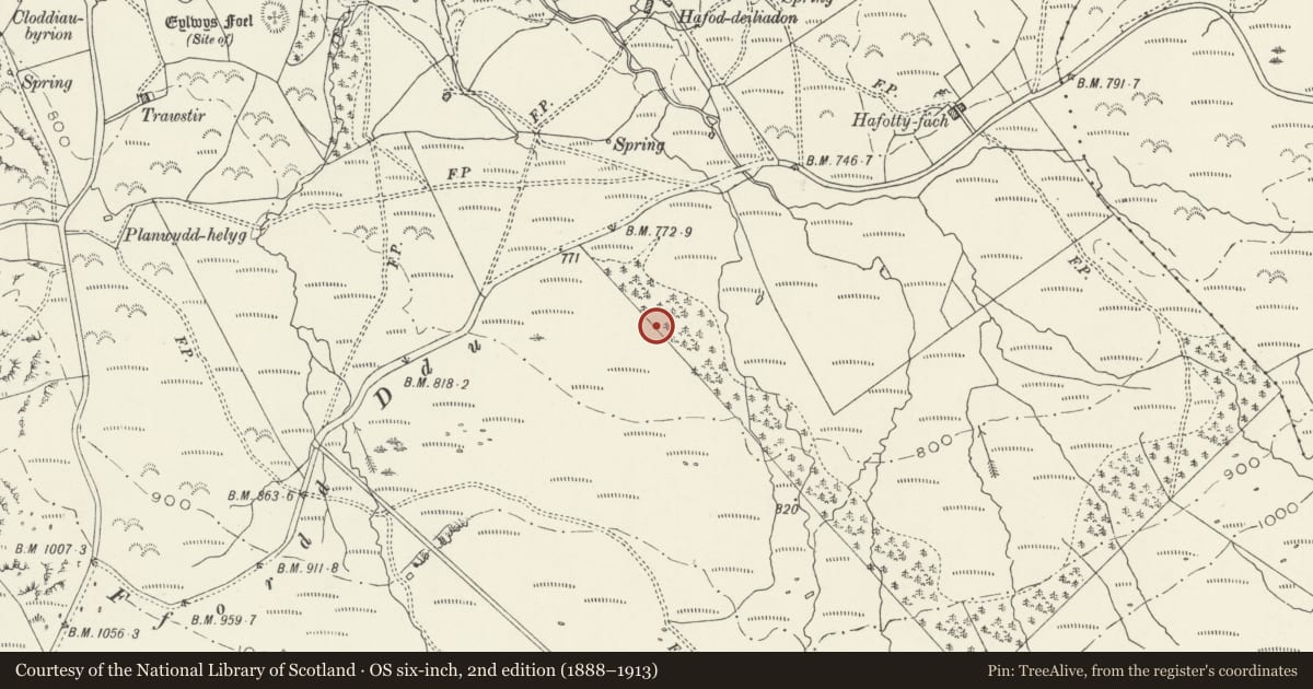 Ordnance Survey six-inch map, 2nd edition (1888–1913) covering the location of Afon Arthog Standing Stone, Gwynedd, with a pin at the register's coordinates