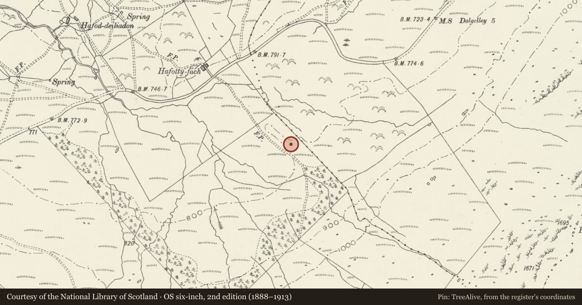 Ordnance Survey six-inch map, 2nd edition (1888–1913) covering the location of Afon Arthog cup-marked rock, Gwynedd, with a pin at the register's coordinates