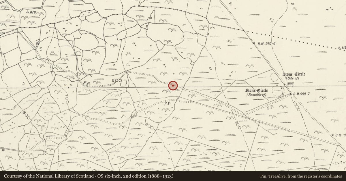 Ordnance Survey six-inch map, 2nd edition (1888–1913) covering the location of Pen y Dinas Cairn, Dyffryn Ardudwy, Gwynedd, with a pin at the register's coordinates