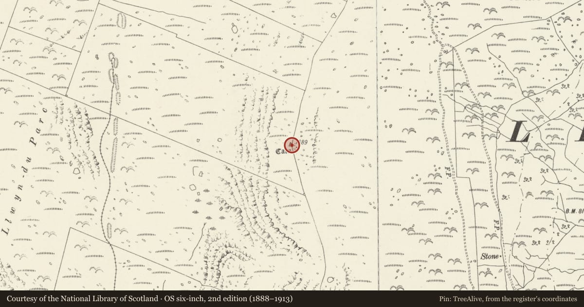 Ordnance Survey six-inch map, 2nd edition (1888–1913) covering the location of Round Cairn, Llanelltyd, Gwynedd, with a pin at the register's coordinates