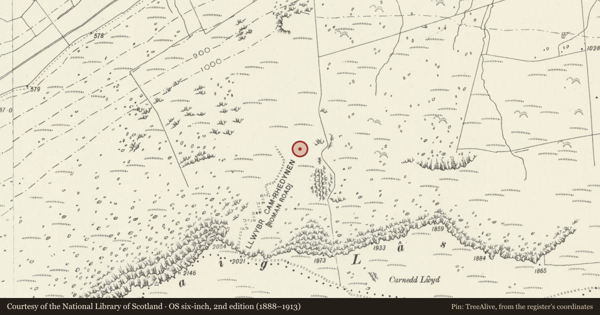Ordnance Survey six-inch map, 2nd edition (1888–1913) covering the location of Craig Las cairn, Arthog, Gwynedd, with a pin at the register's coordinates