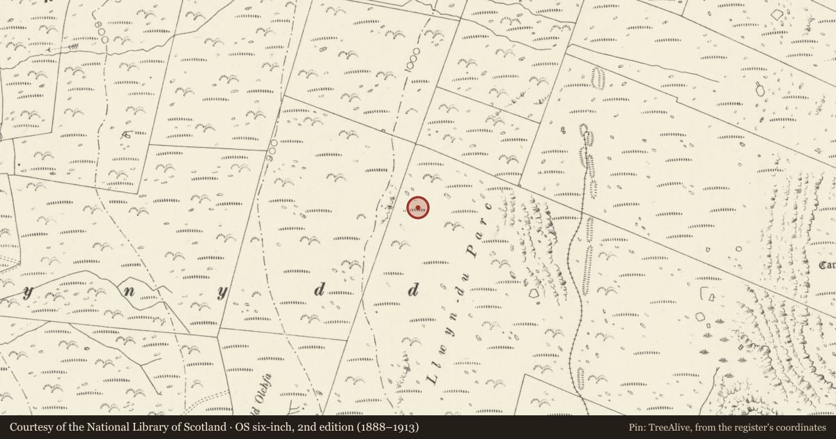 Ordnance Survey six-inch map, 2nd edition (1888–1913) covering the location of Llwyn du Parc cairn, Dyffryn Ardudwy, Gwynedd, with a pin at the register's coordinates