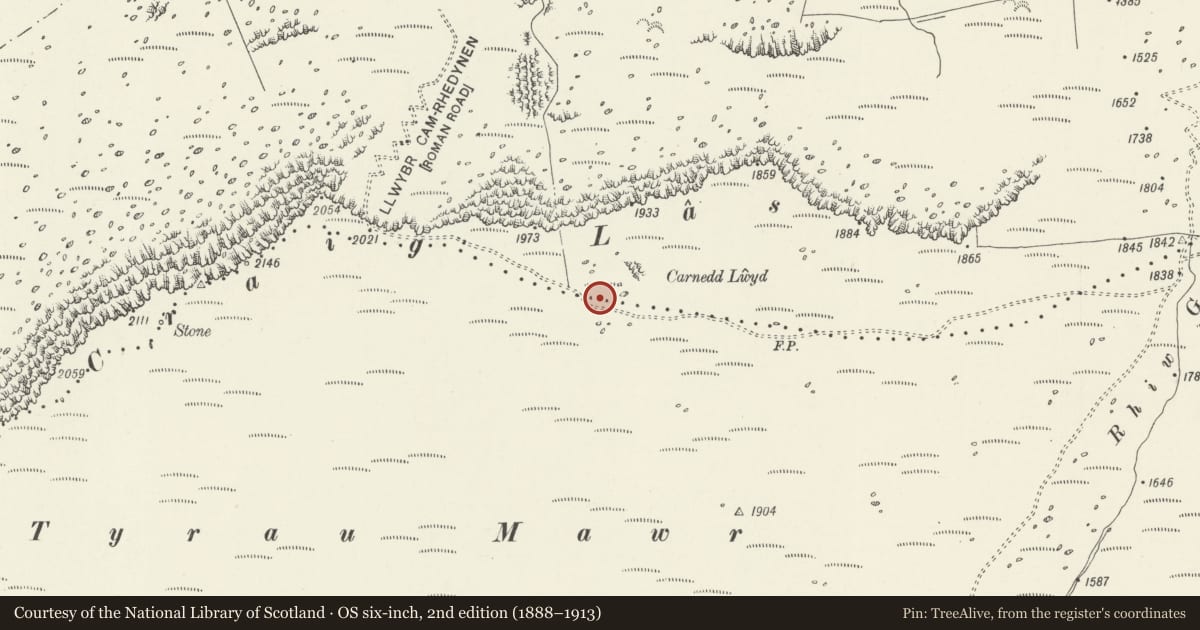 Ordnance Survey six-inch map, 2nd edition (1888–1913) covering the location of Carnedd Lwyd cairns, Arthog, Gwynedd, with a pin at the register's coordinates