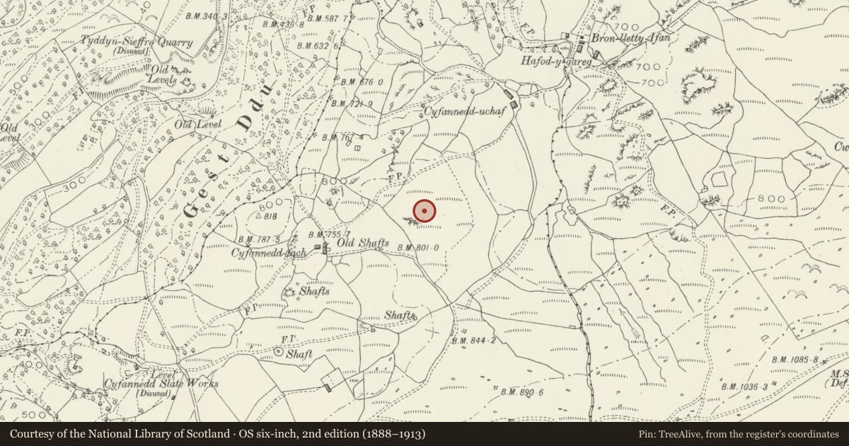 Ordnance Survey six-inch map, 2nd edition (1888–1913) covering the location of Bron-Llety-Ifan cairns and cup-marked rock, Arthog, Gwynedd, with a pin at the register's coordinates