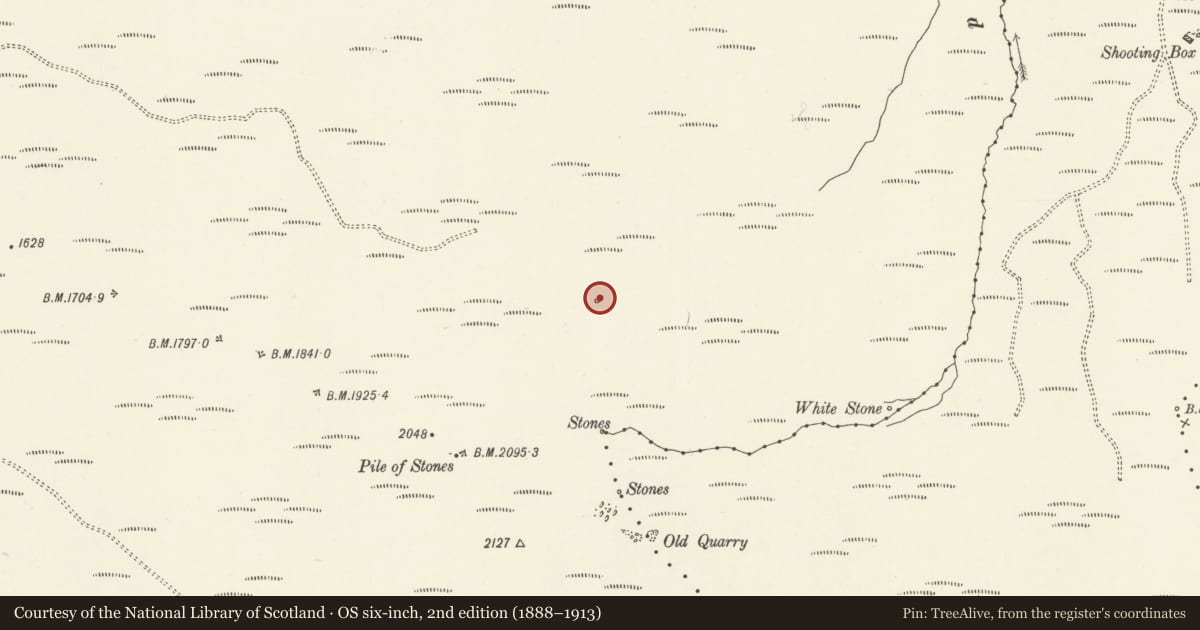 Ordnance Survey six-inch map, 2nd edition (1888–1913) covering the location of Foel Cwm Sian Llŵyd cairn, Llangywer, Gwynedd, with a pin at the register's coordinates