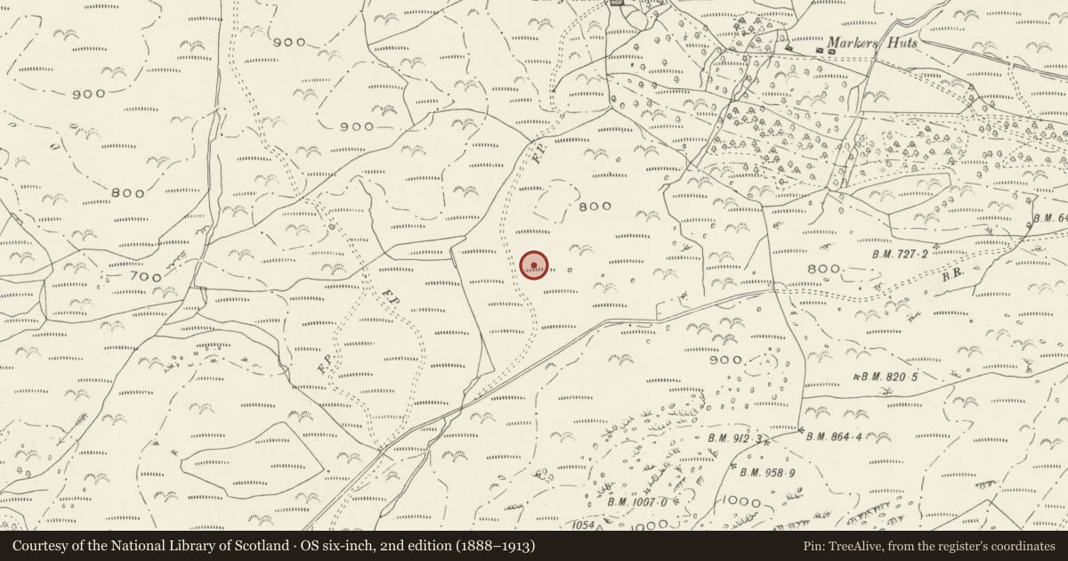Ordnance Survey six-inch map, 2nd edition (1888–1913) covering the location of Tal y Waen cairns, Dolgellau, Gwynedd, with a pin at the register's coordinates
