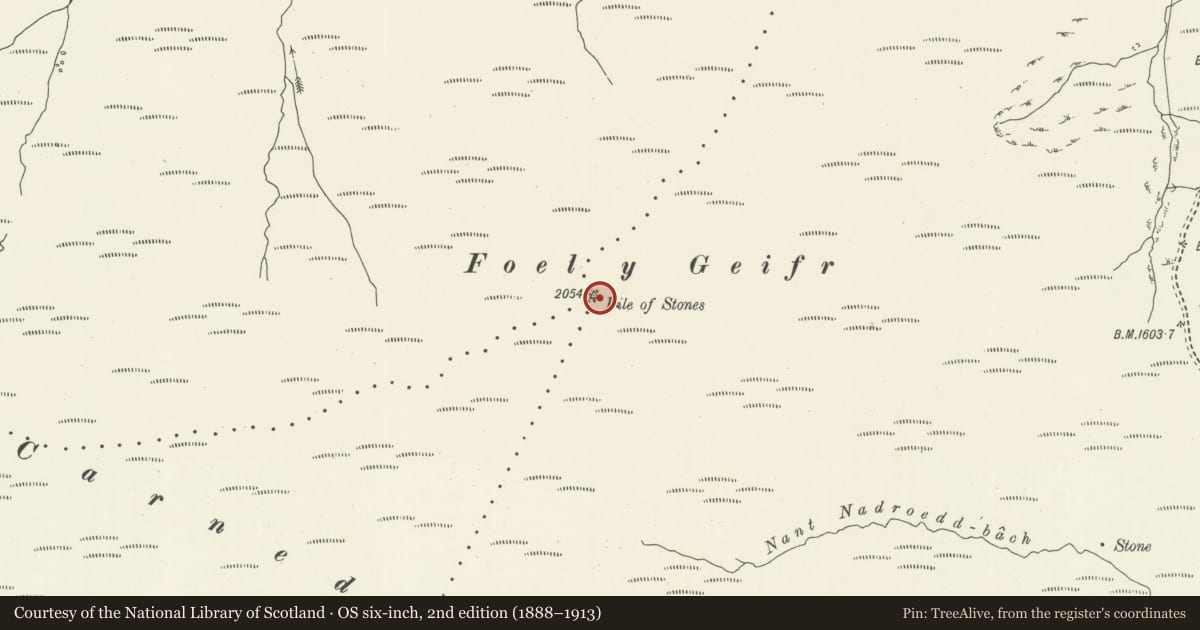 Ordnance Survey six-inch map, 2nd edition (1888–1913) covering the location of Foel y Geifr Cairn, Llangywer, Gwynedd, with a pin at the register's coordinates