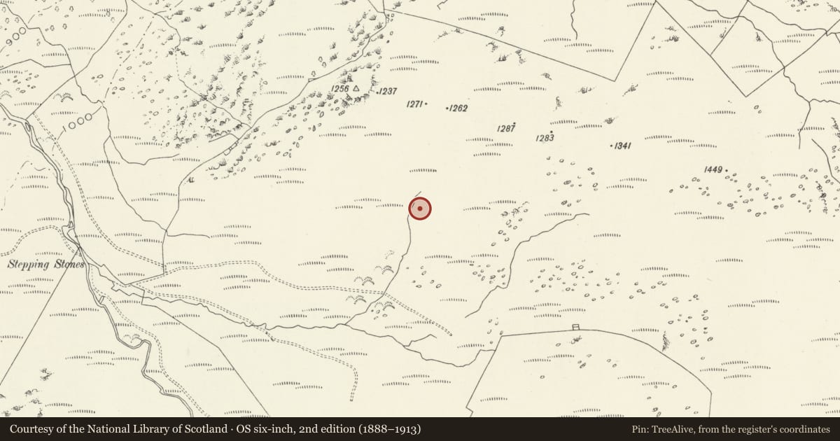 Ordnance Survey six-inch map, 2nd edition (1888–1913) covering the location of Nant Helygog ring cairn, Brithdir and Llanfachreth, Gwynedd, with a pin at the register's coordinates