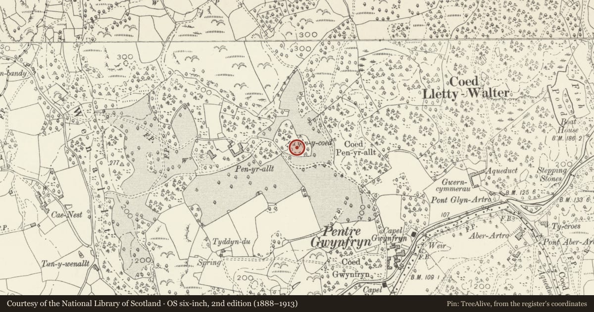 Ordnance Survey six-inch map, 2nd edition (1888–1913) covering the location of Medieval Ecclesiastical Structure SE of Ty'n y Coed Cottage, Llanbedr, Gwynedd, with a pin at the register's coordinates