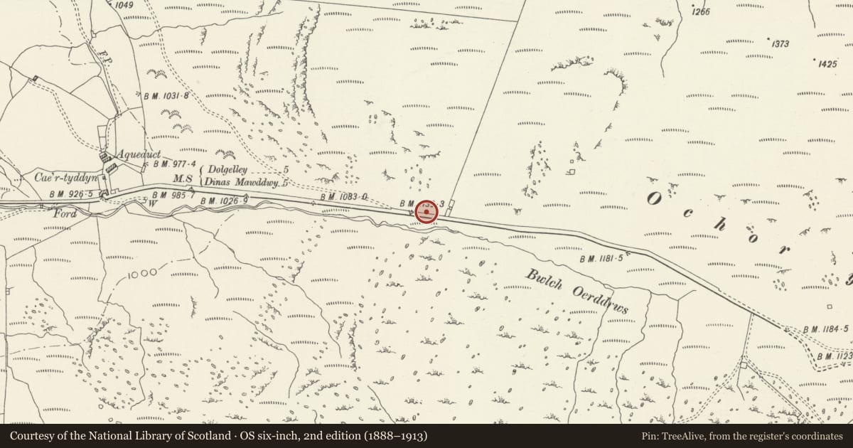 Ordnance Survey six-inch map, 2nd edition (1888–1913) covering the location of Anti-invasion Defences 630m E of Cae'r-tyddyn, Brithdir and Llanfachreth, Gwynedd, with a pin at the register's coordinates
