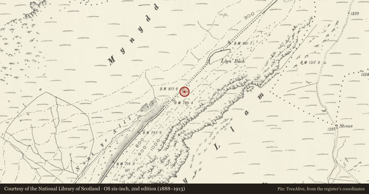 Ordnance Survey six-inch map, 2nd edition (1888–1913) covering the location of Anti-invasion Defences 2000m NE of Cwmrhwyddfor Farm, Llanfihangel-y-Pennant, Gwynedd, with a pin at the register's coordinates