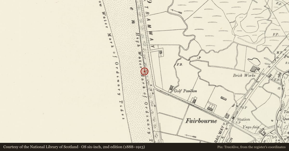 Ordnance Survey six-inch map, 2nd edition (1888–1913) covering the location of Fairbourne Anti-invasion Defences, Arthog, Gwynedd, with a pin at the register's coordinates