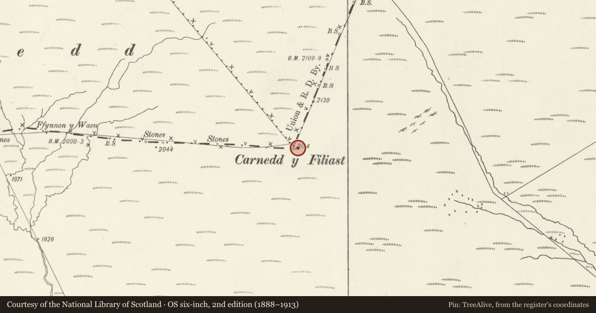 Ordnance Survey six-inch map, 2nd edition (1888–1913) covering the location of Carnedd y Filiast Cairn, Llandderfel, Gwynedd, with a pin at the register's coordinates