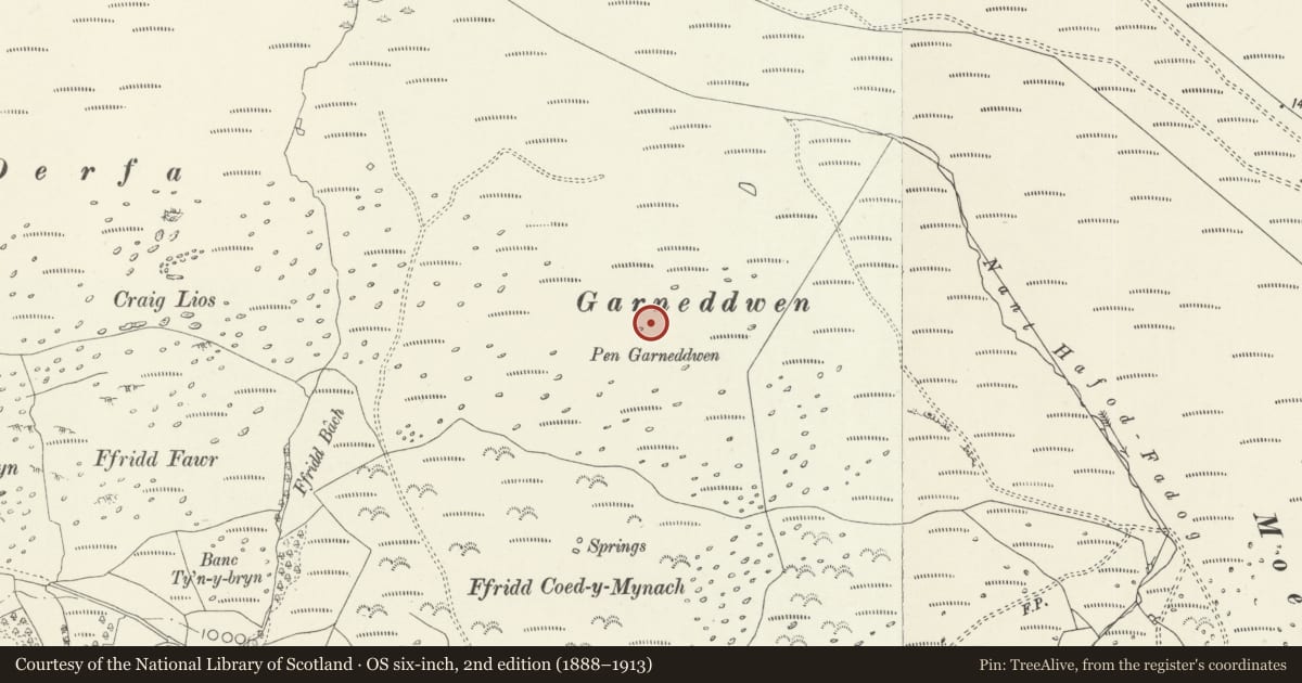 Ordnance Survey six-inch map, 2nd edition (1888–1913) covering the location of Garnedd Wen Cairn, Llandderfel, Gwynedd, with a pin at the register's coordinates