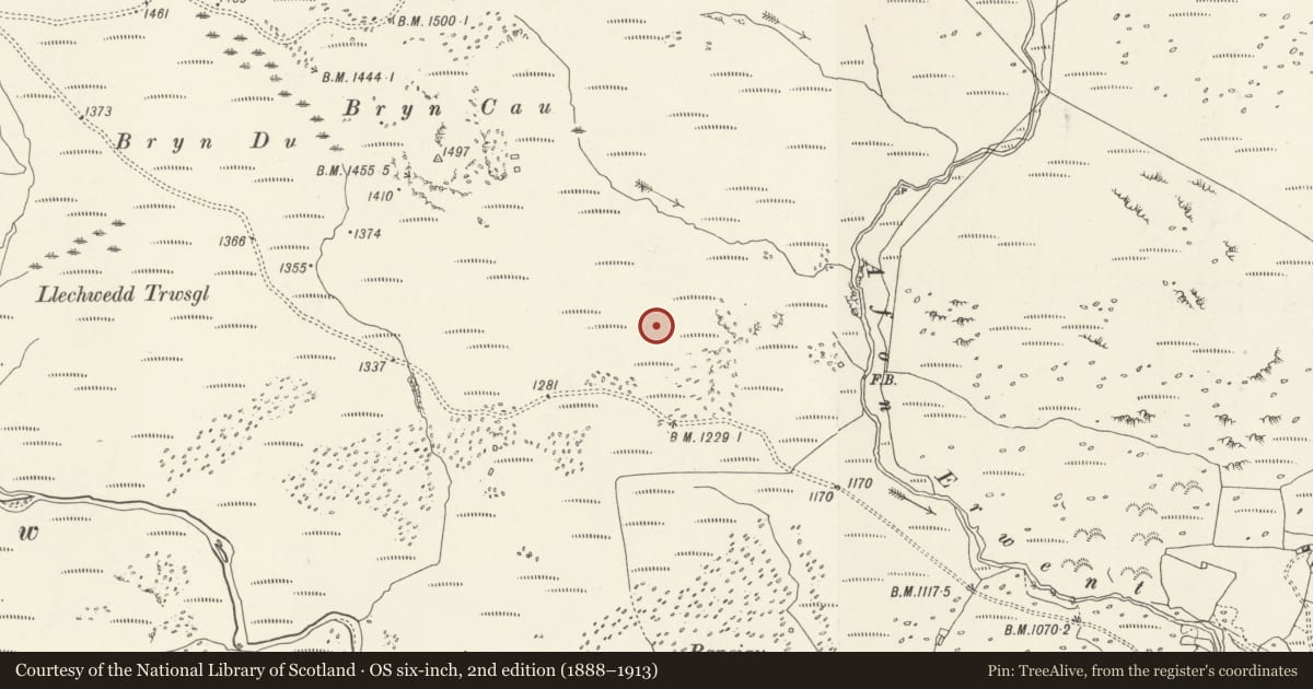Ordnance Survey six-inch map, 2nd edition (1888–1913) covering the location of Cairn 300m SE of Bryn Cau, Llanuwchllyn, Gwynedd, with a pin at the register's coordinates