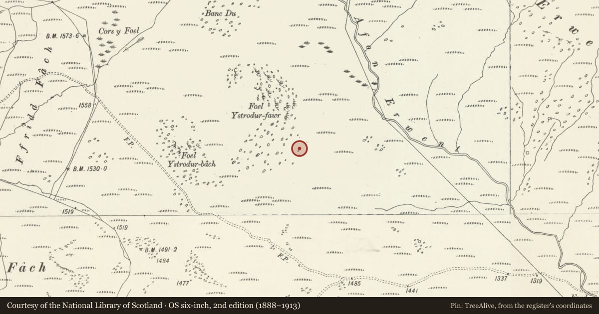 Ordnance Survey six-inch map, 2nd edition (1888–1913) covering the location of Cairn 200m SE of Foel Ystrodur Fawr, Llanuwchllyn, Gwynedd, with a pin at the register's coordinates