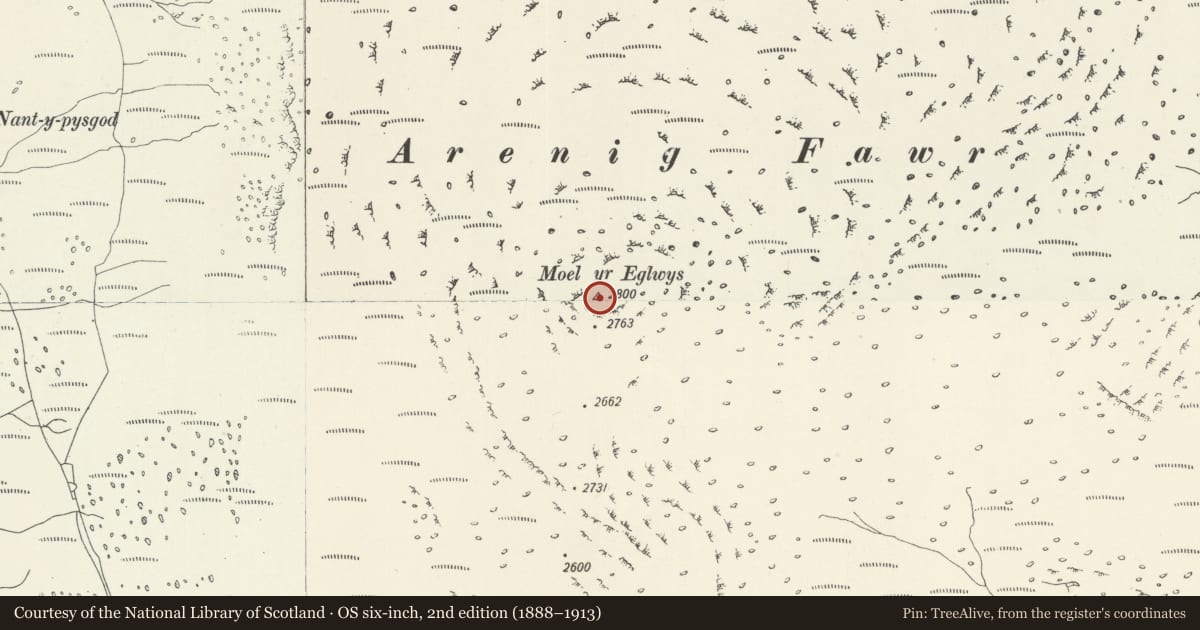 Ordnance Survey six-inch map, 2nd edition (1888–1913) covering the location of Arenig Fawr Cairn, Llanycil, Gwynedd, with a pin at the register's coordinates