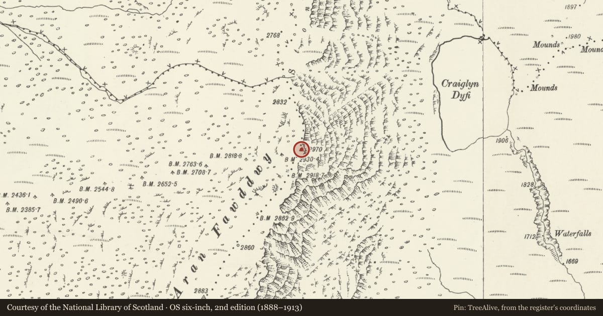 Ordnance Survey six-inch map, 2nd edition (1888–1913) covering the location of Aran Fawddwy Cairn, Llanuwchllyn, Gwynedd, with a pin at the register's coordinates