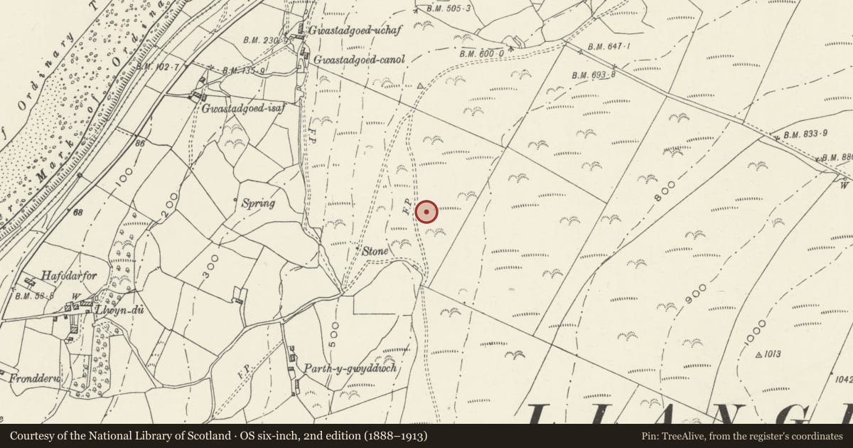 Ordnance Survey six-inch map, 2nd edition (1888–1913) covering the location of Standing Stone, Llangelynin, Gwynedd, with a pin at the register's coordinates