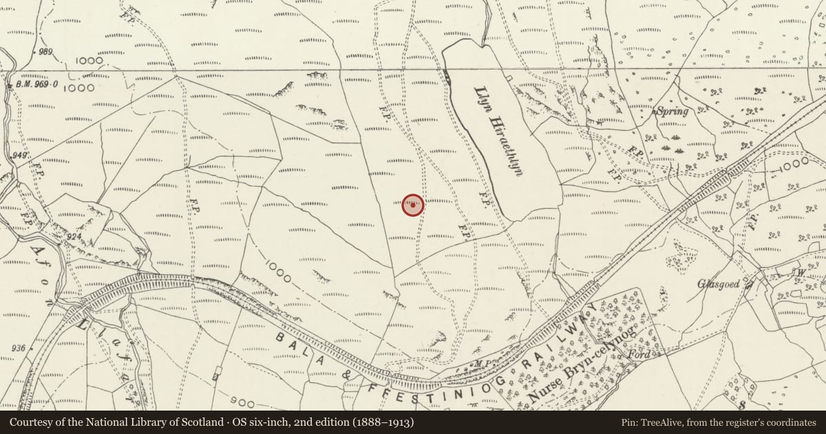 Ordnance Survey six-inch map, 2nd edition (1888–1913) covering the location of Roman Practice Camps 190m W of Llyn Hiraethlyn, Trawsfynydd, Gwynedd, with a pin at the register's coordinates