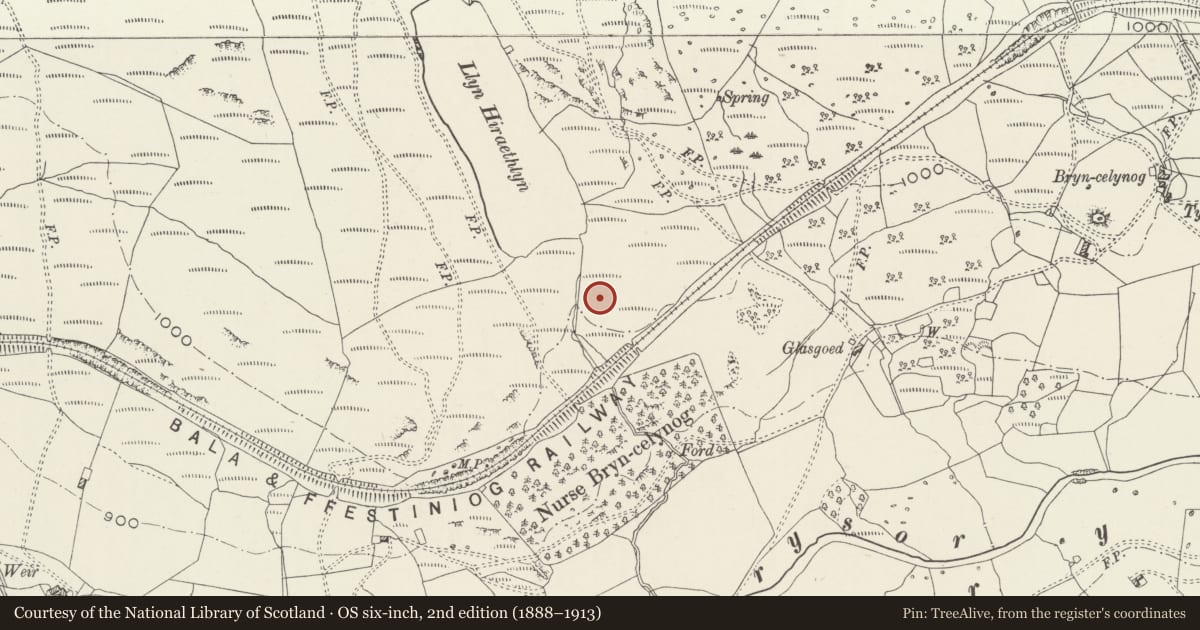 Ordnance Survey six-inch map, 2nd edition (1888–1913) covering the location of Roman Road extending SE 650m from Llyn Hiraethlyn toward Glasgoed, Trawsfynydd, Gwynedd, with a pin at the register's coordinates