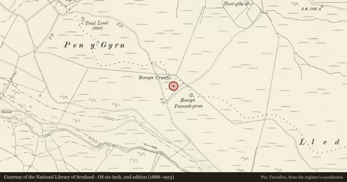 Ordnance Survey six-inch map, 2nd edition (1888–1913) covering the location of Pen y Gyrn Roman Road, Llanuwchllyn, Gwynedd, with a pin at the register's coordinates