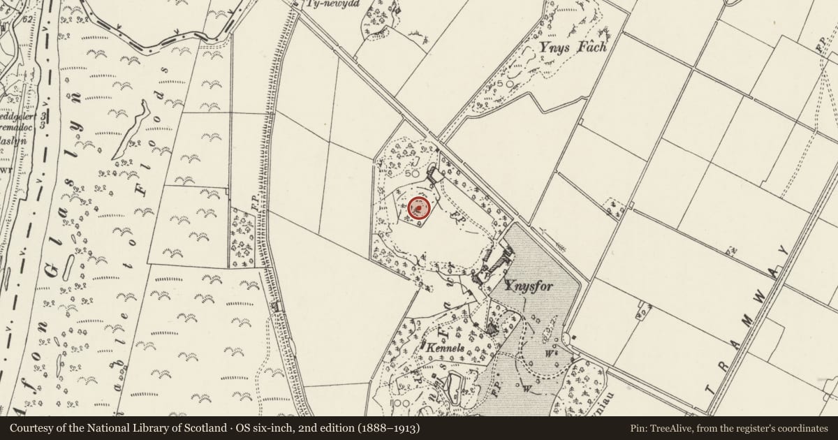 Ordnance Survey six-inch map, 2nd edition (1888–1913) covering the location of Defended Settlement 150m NW of Plas Ynysfor, Llanfrothen, Gwynedd, with a pin at the register's coordinates
