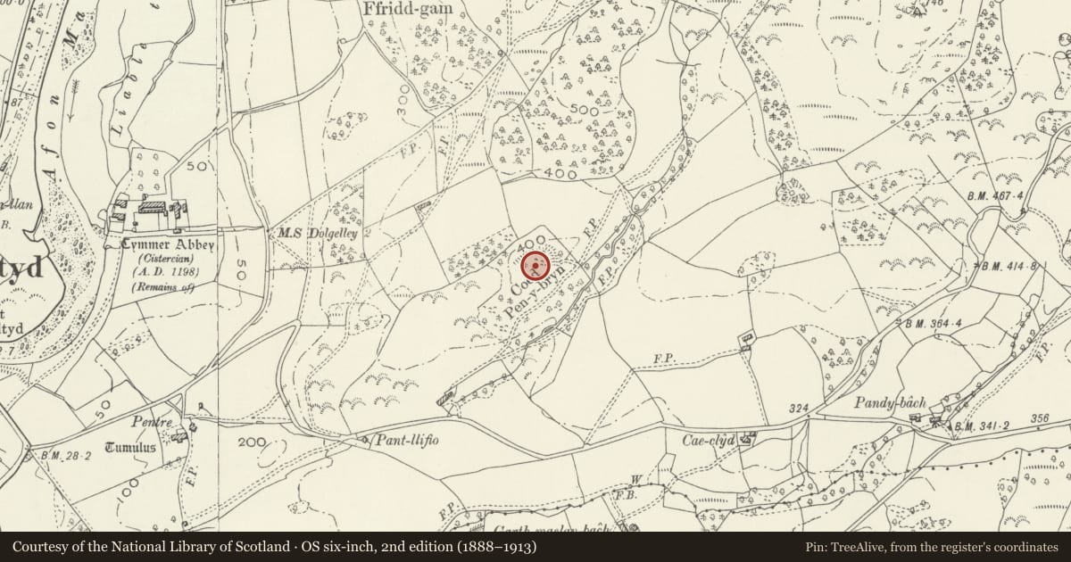 Ordnance Survey six-inch map, 2nd edition (1888–1913) covering the location of Coed Pen-y-Bryn Defended Settlement, Llanelltyd, Gwynedd, with a pin at the register's coordinates