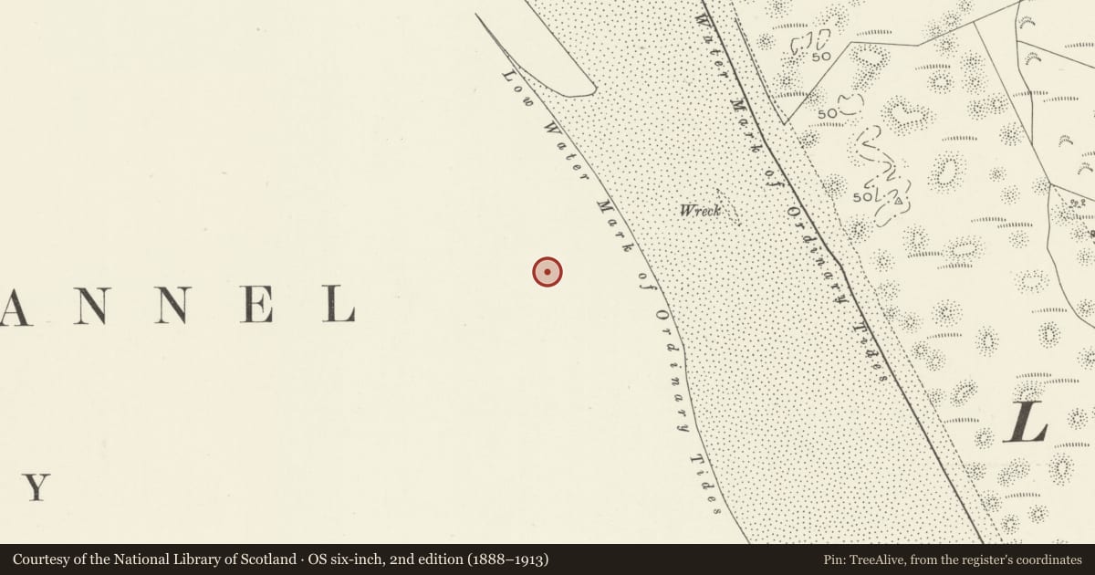 Ordnance Survey six-inch map, 2nd edition (1888–1913) covering the location of Lockheed P-38 Lightning Aircraft, Intertidal zone, Morfa Harlech, Gwynedd, with a pin at the register's coordinates