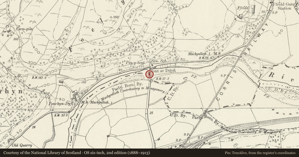 Ordnance Survey six-inch map, 2nd edition (1888–1913) covering the location of Machynlleth Bridge, Powys, with a pin at the register's coordinates