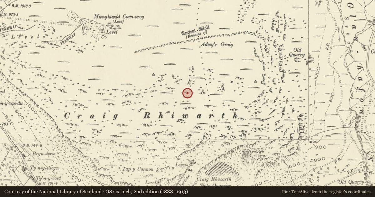 Ordnance Survey six-inch map, 2nd edition (1888–1913) covering the location of Craig Rhiwarth Ancient Village, Llangynog, Powys, with a pin at the register's coordinates