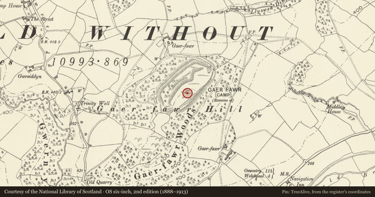 Ordnance Survey six-inch map, 2nd edition (1888–1913) covering the location of Gaer Fawr, Guilsfield, Powys, with a pin at the register's coordinates